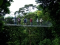 cr-hanging-bridge
