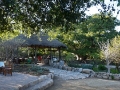 palapa-in-the-afternoon