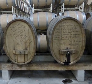 Barrels at LA Cetto