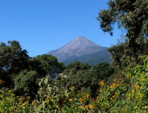 Volcan del Fuego