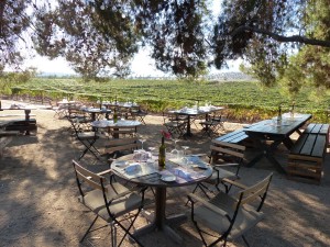 Lunch in the Guadalupe valley