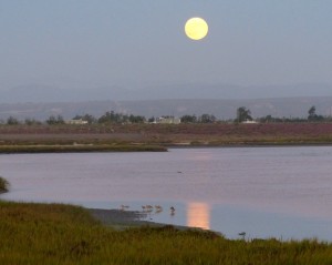Moonrise over San Quintin