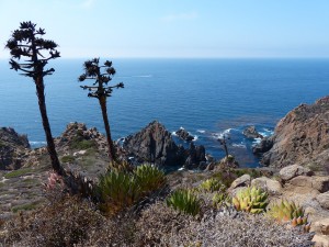 Pacific Ocean from La Bufadora